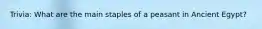 Trivia: What are the main staples of a peasant in Ancient Egypt?