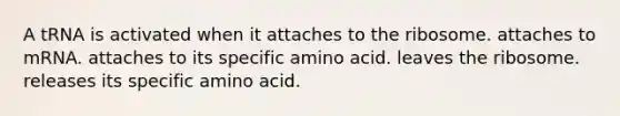 A tRNA is activated when it attaches to the ribosome. attaches to mRNA. attaches to its specific amino acid. leaves the ribosome. releases its specific amino acid.