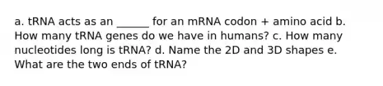 a. tRNA acts as an ______ for an mRNA codon + amino acid b. How many tRNA genes do we have in humans? c. How many nucleotides long is tRNA? d. Name the 2D and 3D shapes e. What are the two ends of tRNA?