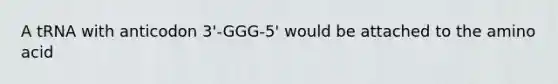 A tRNA with anticodon 3'-GGG-5' would be attached to the amino acid