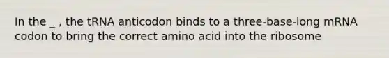 In the _ , the tRNA anticodon binds to a three-base-long mRNA codon to bring the correct amino acid into the ribosome