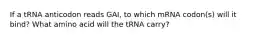 If a tRNA anticodon reads GAI, to which mRNA codon(s) will it bind? What amino acid will the tRNA carry?