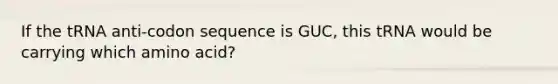 If the tRNA anti-codon sequence is GUC, this tRNA would be carrying which amino acid?