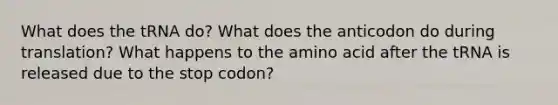 What does the tRNA do? What does the anticodon do during translation? What happens to the amino acid after the tRNA is released due to the stop codon?