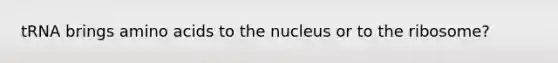 tRNA brings amino acids to the nucleus or to the ribosome?