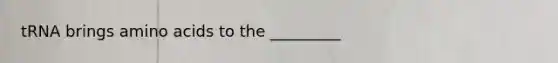 tRNA brings amino acids to the _________