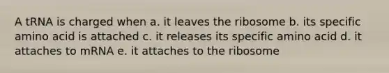 A tRNA is charged when a. it leaves the ribosome b. its specific amino acid is attached c. it releases its specific amino acid d. it attaches to mRNA e. it attaches to the ribosome