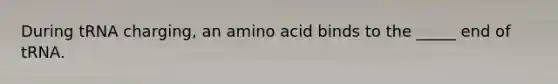 During tRNA charging, an amino acid binds to the _____ end of tRNA.