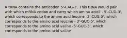 A tRNA contains the anticodon 5'-CAG-3'. This tRNA would pair with which mRNA codon and carry which amino acid? - 5'-CUG-3', which corresponds to the amino acid leucine -3'-CUG-5', which corresponds to the amino acid leucine - 3'-GUC-5', which corresponds to the amino acid valine -5'-GUC-3', which corresponds to the amino acid valine