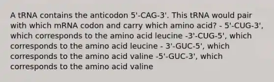 A tRNA contains the anticodon 5'-CAG-3'. This tRNA would pair with which mRNA codon and carry which amino acid? - 5'-CUG-3', which corresponds to the amino acid leucine -3'-CUG-5', which corresponds to the amino acid leucine - 3'-GUC-5', which corresponds to the amino acid valine -5'-GUC-3', which corresponds to the amino acid valine