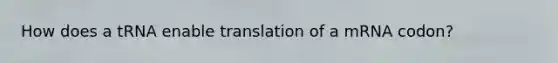 How does a tRNA enable translation of a mRNA codon?