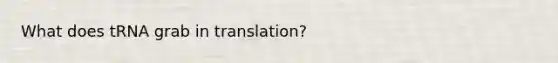 What does tRNA grab in translation?