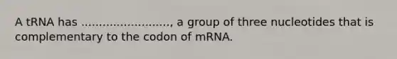 A tRNA has ........................., a group of three nucleotides that is complementary to the codon of mRNA.