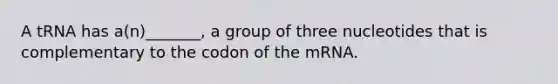 A tRNA has a(n)_______, a group of three nucleotides that is complementary to the codon of the mRNA.