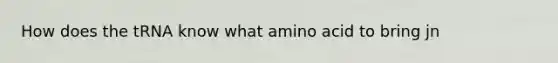 How does the tRNA know what amino acid to bring jn