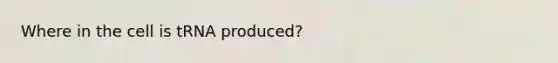 Where in the cell is tRNA produced?