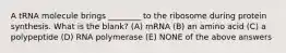 A tRNA molecule brings ________ to the ribosome during protein synthesis. What is the blank? (A) mRNA (B) an amino acid (C) a polypeptide (D) RNA polymerase (E) NONE of the above answers