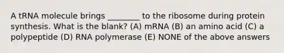 A tRNA molecule brings ________ to the ribosome during protein synthesis. What is the blank? (A) mRNA (B) an amino acid (C) a polypeptide (D) RNA polymerase (E) NONE of the above answers