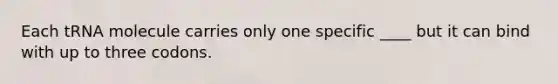 Each tRNA molecule carries only one specific ____ but it can bind with up to three codons.
