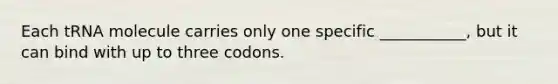 Each tRNA molecule carries only one specific ___________, but it can bind with up to three codons.