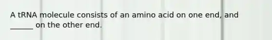 A tRNA molecule consists of an amino acid on one end, and ______ on the other end.