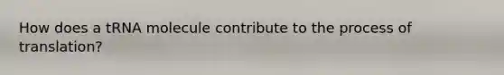 How does a tRNA molecule contribute to the process of translation?