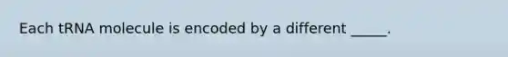 Each tRNA molecule is encoded by a different _____.