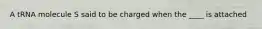 A tRNA molecule S said to be charged when the ____ is attached