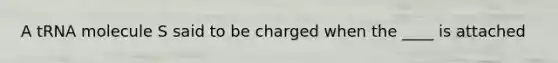 A tRNA molecule S said to be charged when the ____ is attached