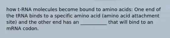 how t-RNA molecules become bound to amino acids: One end of the tRNA binds to a specific amino acid (amino acid attachment site) and the other end has an ___________ that will bind to an mRNA codon.