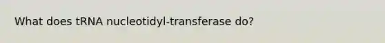 What does tRNA nucleotidyl-transferase do?