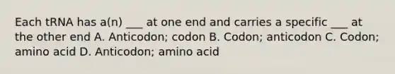 Each tRNA has a(n) ___ at one end and carries a specific ___ at the other end A. Anticodon; codon B. Codon; anticodon C. Codon; amino acid D. Anticodon; amino acid