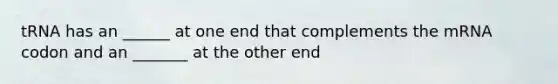 tRNA has an ______ at one end that complements the mRNA codon and an _______ at the other end