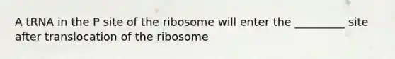 A tRNA in the P site of the ribosome will enter the _________ site after translocation of the ribosome