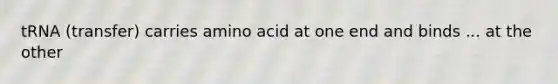 tRNA (transfer) carries amino acid at one end and binds ... at the other