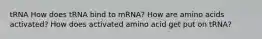 tRNA How does tRNA bind to mRNA? How are amino acids activated? How does activated amino acid get put on tRNA?