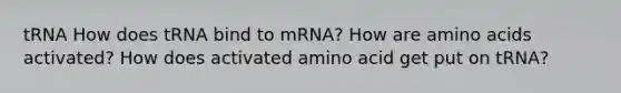 tRNA How does tRNA bind to mRNA? How are <a href='https://www.questionai.com/knowledge/k9gb720LCl-amino-acids' class='anchor-knowledge'>amino acids</a> activated? How does activated amino acid get put on tRNA?