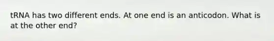 tRNA has two different ends. At one end is an anticodon. What is at the other end?