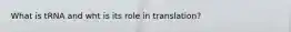 What is tRNA and wht is its role in translation?