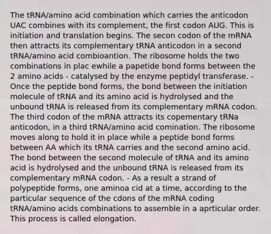 The tRNA/amino acid combination which carries the anticodon UAC combines with its complement, the first codon AUG. This is initiation and translation begins. The secon codon of the mRNA then attracts its complementary tRNA anticodon in a second tRNA/amino acid combioantion. The ribosome holds the two combinations in plac ewhile a papetide bond forms between the 2 <a href='https://www.questionai.com/knowledge/k9gb720LCl-amino-acids' class='anchor-knowledge'>amino acids</a> - catalysed by the enzyme peptidyl transferase. - Once the peptide bond forms, the bond between the initiation molecule of tRNA and its amino acid is hydrolysed and the unbound tRNA is released from its complementary mRNA codon. The third codon of the mRNA attracts its copementary tRNa anticodon, in a third tRNA/amino acid comination. The ribosome moves along to hold it in place while a peptide bond forms between AA which its tRNA carries and the second amino acid. The bond between the second molecule of tRNA and its amino acid is hydrolysed and the unbound tRNA is released from its complementary mRNA codon. - As a result a strand of polypeptide forms, one aminoa cid at a time, according to the particular sequence of the cdons of the mRNA coding tRNA/amino acids combinations to assemble in a aprticular order. This process is called elongation.