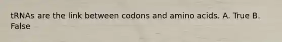 tRNAs are the link between codons and amino acids. A. True B. False