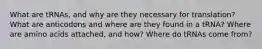 What are tRNAs, and why are they necessary for translation? What are anticodons and where are they found in a tRNA? Where are amino acids attached, and how? Where do tRNAs come from?