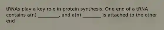 tRNAs play a key role in protein synthesis. One end of a tRNA contains a(n) _________, and a(n) ________ is attached to the other end