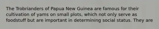 The Trobrianders of Papua New Guinea are famous for their cultivation of yams on small plots, which not only serve as foodstuff but are important in determining social status. They are