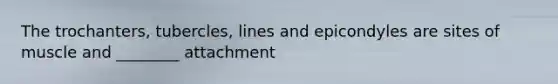 The trochanters, tubercles, lines and epicondyles are sites of muscle and ________ attachment