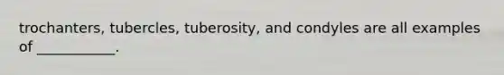 trochanters, tubercles, tuberosity, and condyles are all examples of ___________.