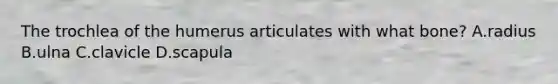 The trochlea of the humerus articulates with what bone? A.radius B.ulna C.clavicle D.scapula