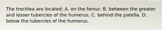 The trochlea are located: A. on the femur. B. between the greater and lesser tubercles of the humerus. C. behind the patella. D. below the tubercles of the humerus.