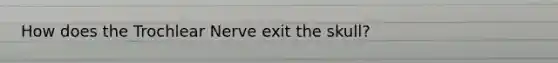 How does the Trochlear Nerve exit the skull?