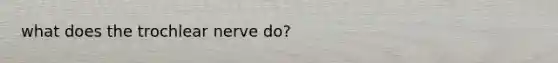 what does the trochlear nerve do?